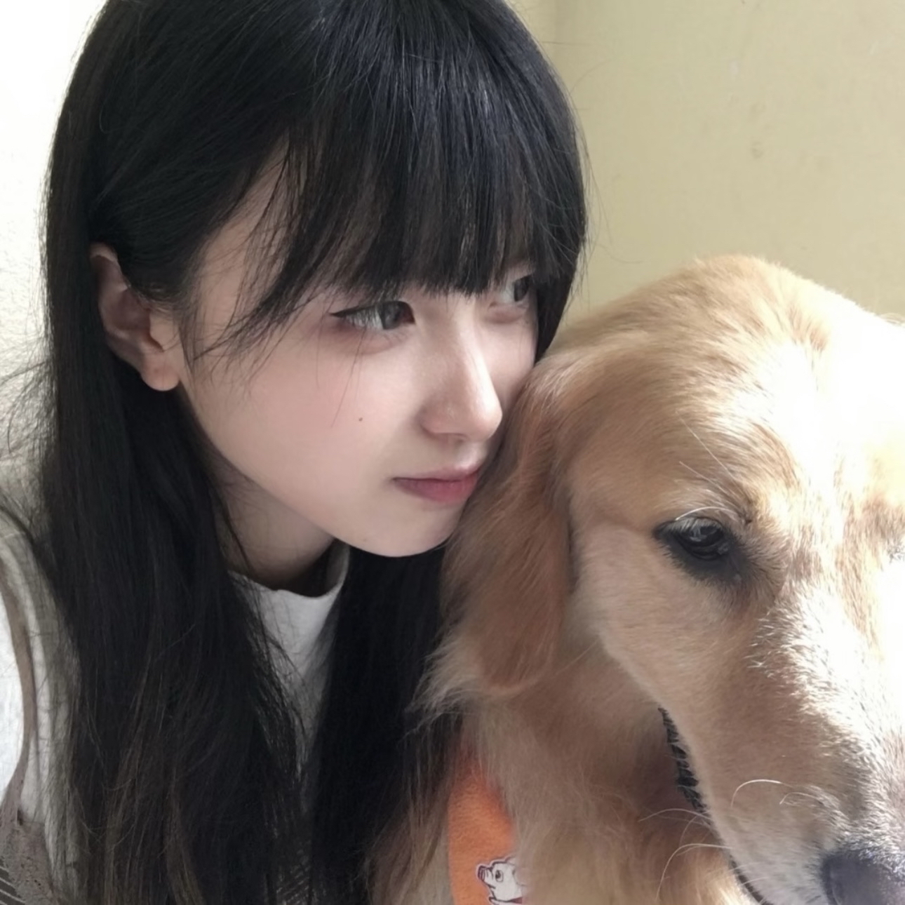 images/landing-pages description